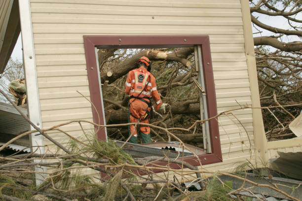 Best Storm Damage Tree Cleanup  in Caon City, CO